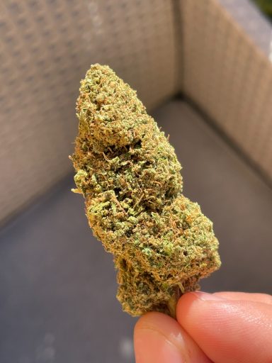 Gorilla Glue Gorilla Glue