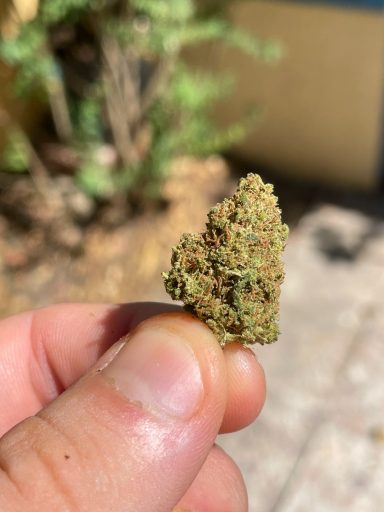Blueberry Diesel