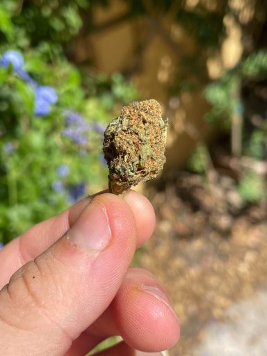 Cannatonic Thcx 60% Cannatonic Thcx 60%