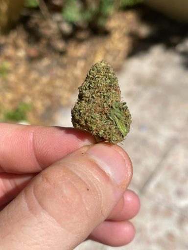 AK-47