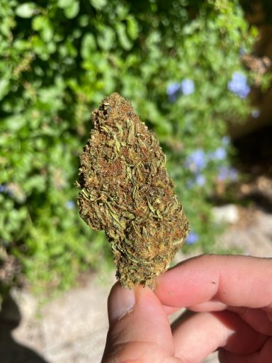 Tropical Haze HE