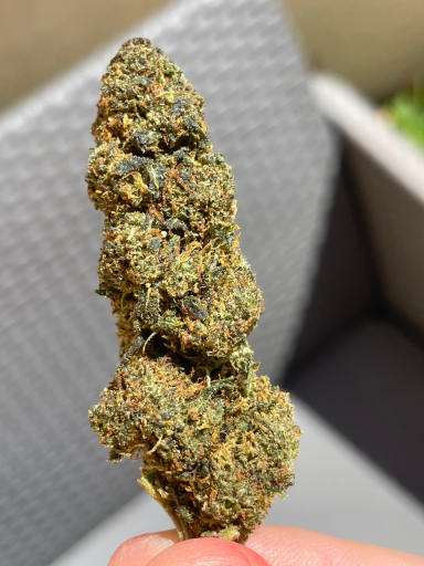 Gelato THCX 2.0
