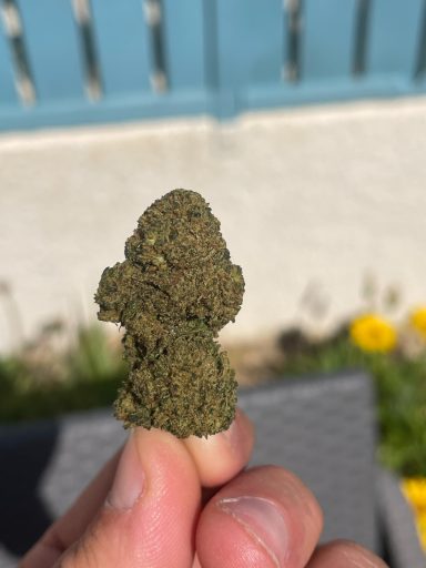 Berry Cheese THCX 2.0